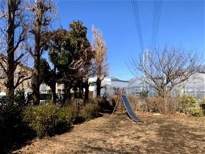 Shimosato in Higashikurume-shi photo