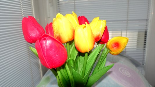 tulips_lalele-2023_0216_162123