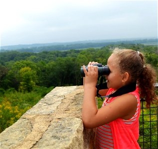 Surveying the scene with binos! photo