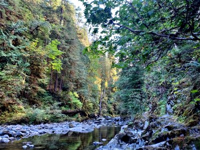 Clear Creek, Mt. Baker-Snoqualmie National Forest. Photo by Anne Vassar Sept. 13, 2021. photo