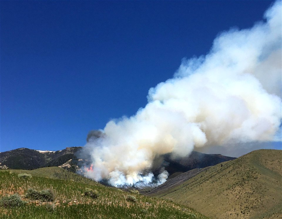 Robinson Draw Fire