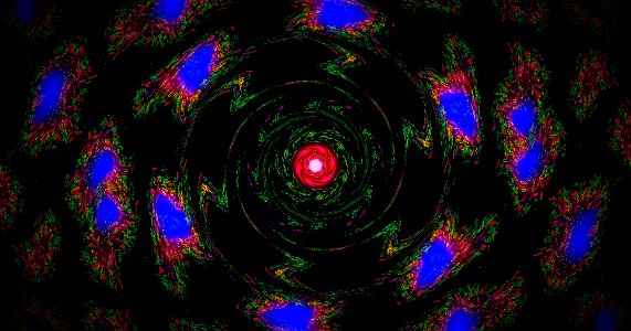 Kaleidoscope211210184453