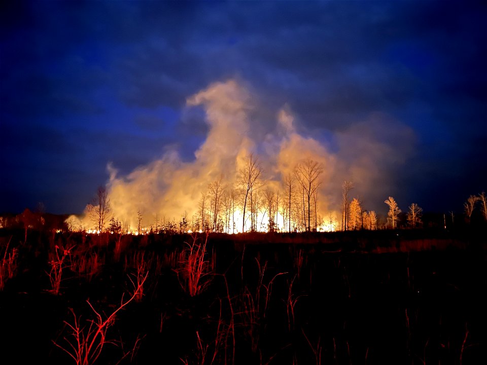 Landscape Category - USFWS 2022 Photo/Video Contest