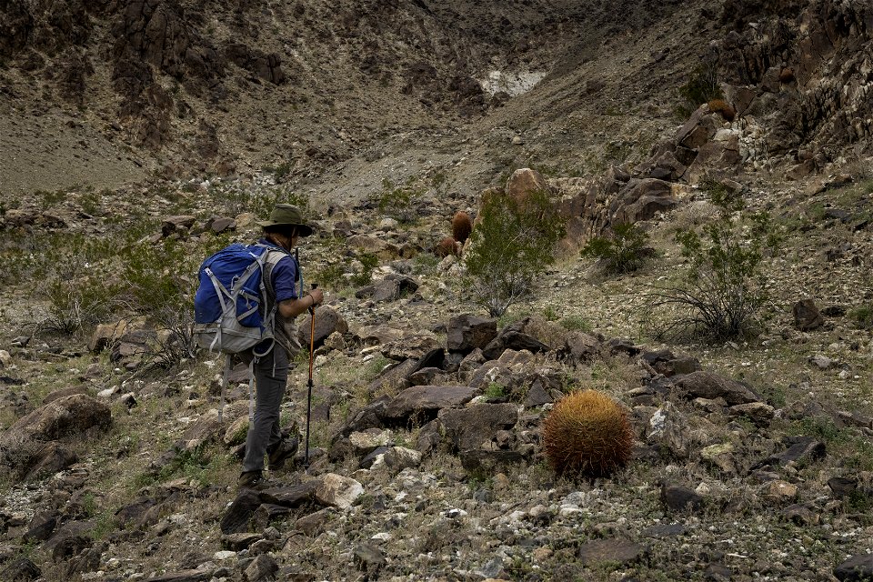 Hiker in the Pinto Mountain area