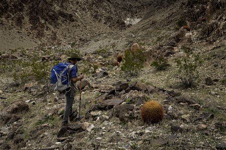 Hiker in the Pinto Mountain area photo