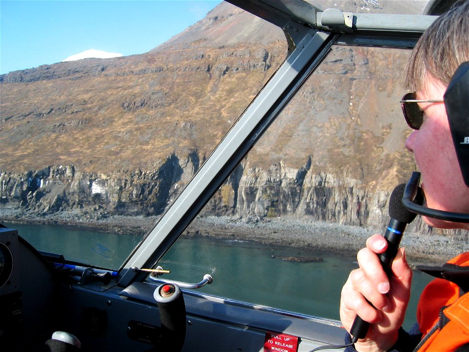 N754 Bald Eagle Survey