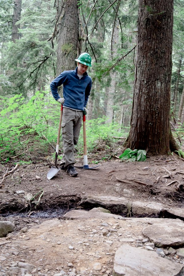 WTA-Wagon Trail to Franklin Falls Snoqualmie Pass-9