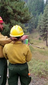 Fire fighters shoot spherical incendiary devices to ignite a section of the Canyon 66 Prescribed fire photo