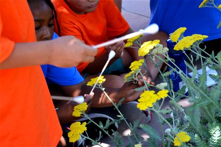 2022 Earth Connections Camp photo