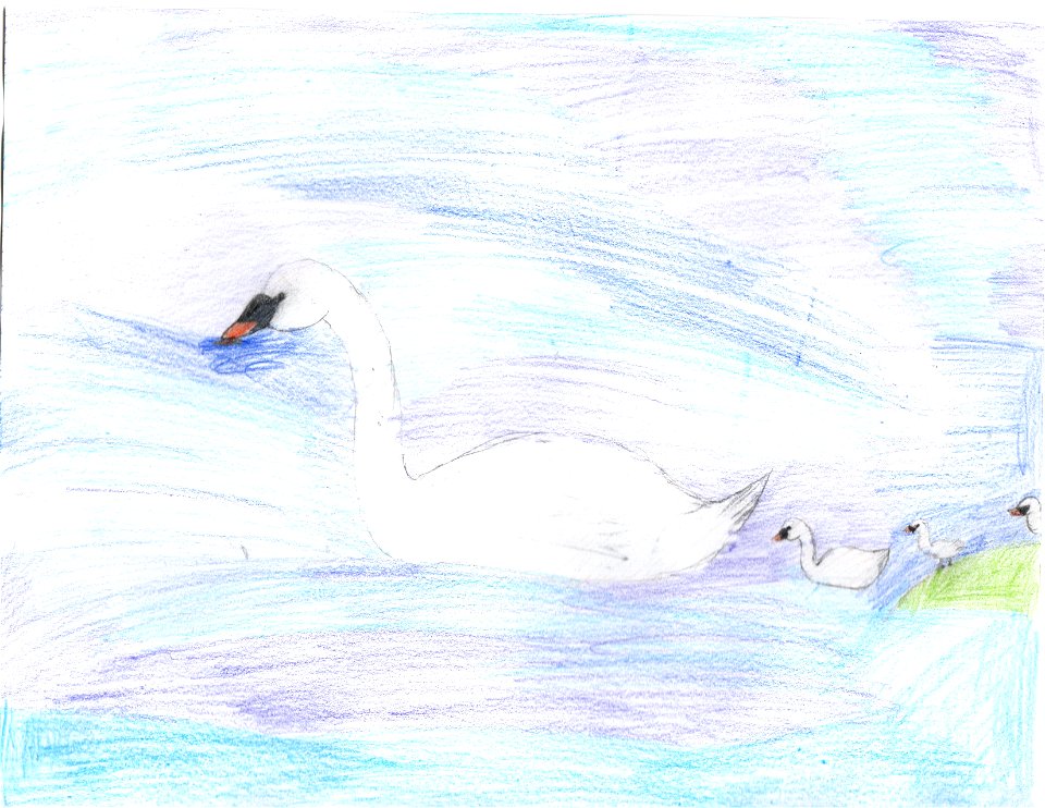 Grp 2 HM Daphne Roeder Anchorage 9