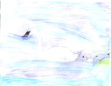 Grp 2 HM Daphne Roeder Anchorage 9