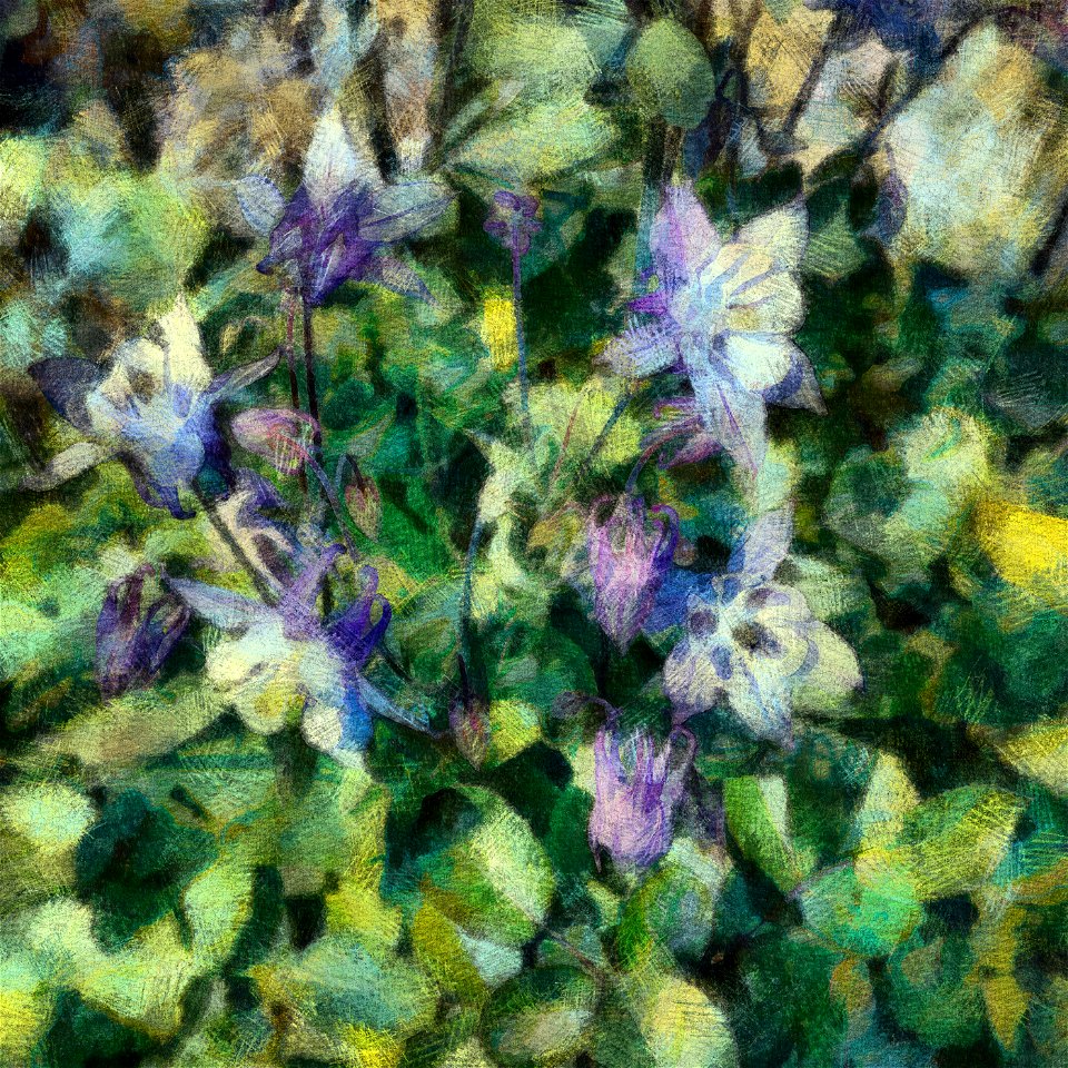 floral_DAP_Chalk(Airy_Sketch)