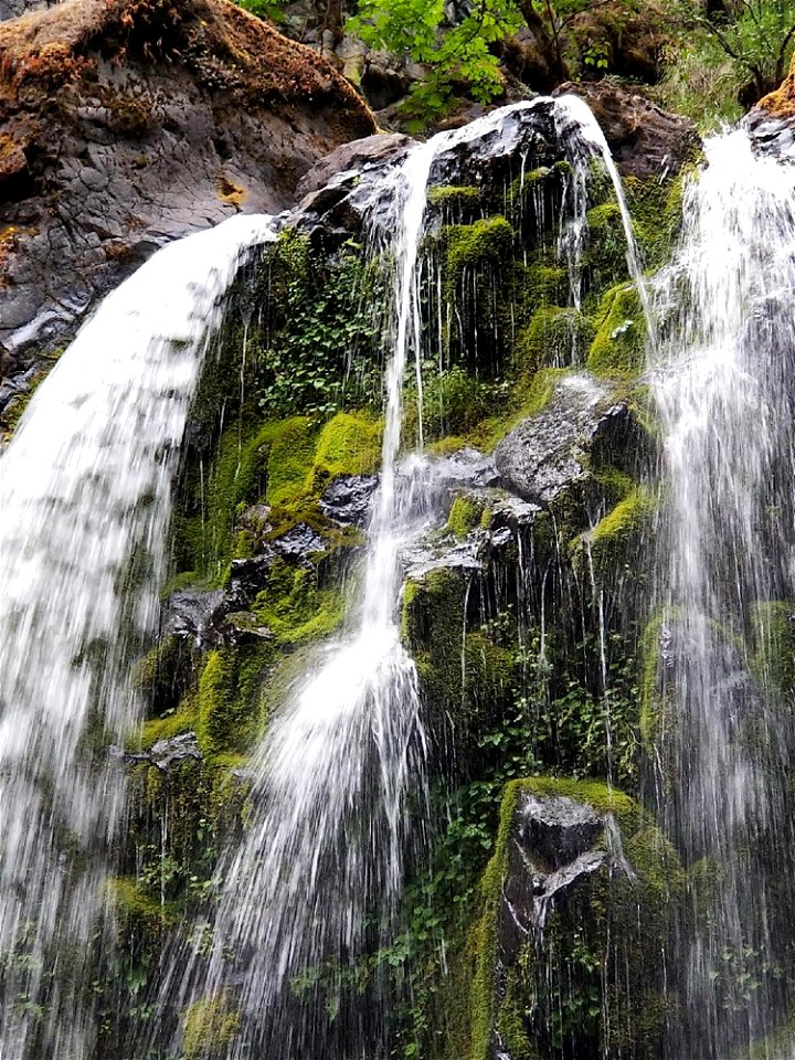fall-creek-falls-may2018-judyjpg_49364490926_o