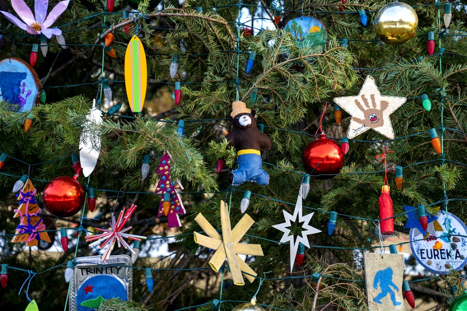 CapitolXmasTreeLighting-WashingtonDC-008