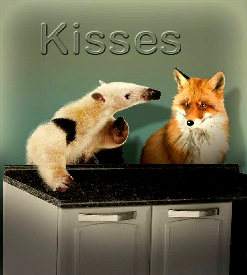 Kisses photo