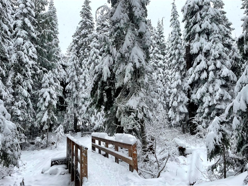 Mirror Lake Trail bridge in winter, Mt. Hood National Forest