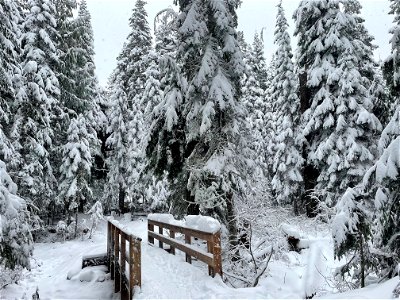 Mirror Lake Trail bridge in winter, Mt. Hood National Forest photo