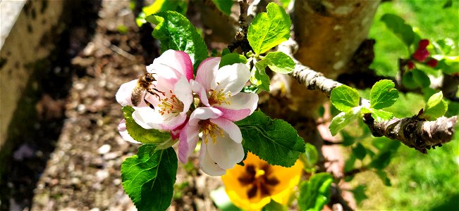 IMG_20210523_171239