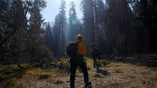 CaldorFire-ElDorado-Sept2021-007