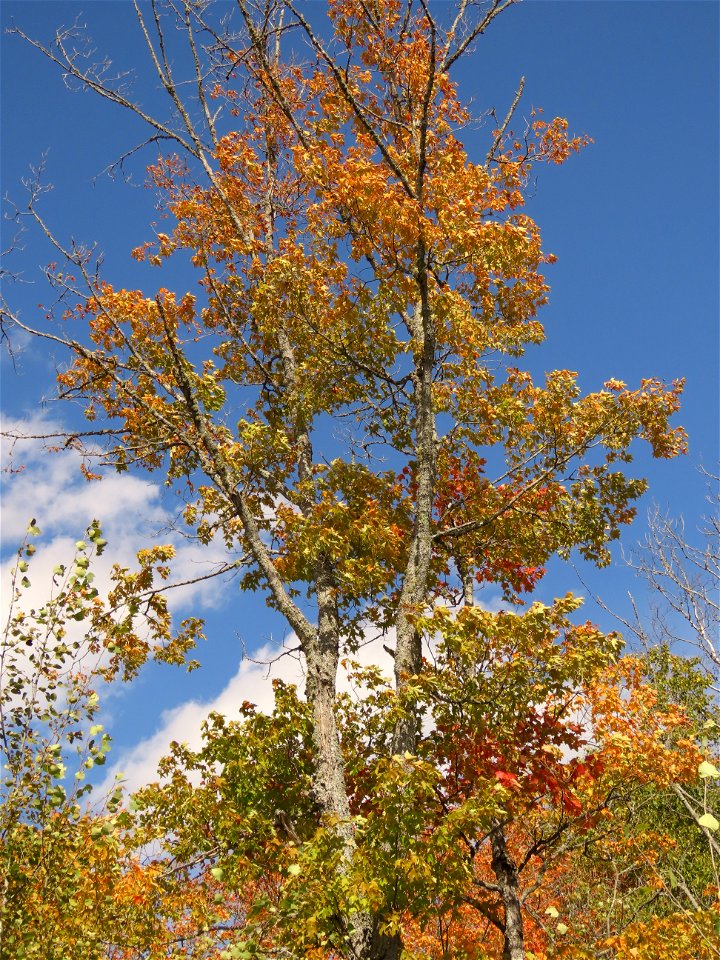 20210915-FS-Superior-SAR-007