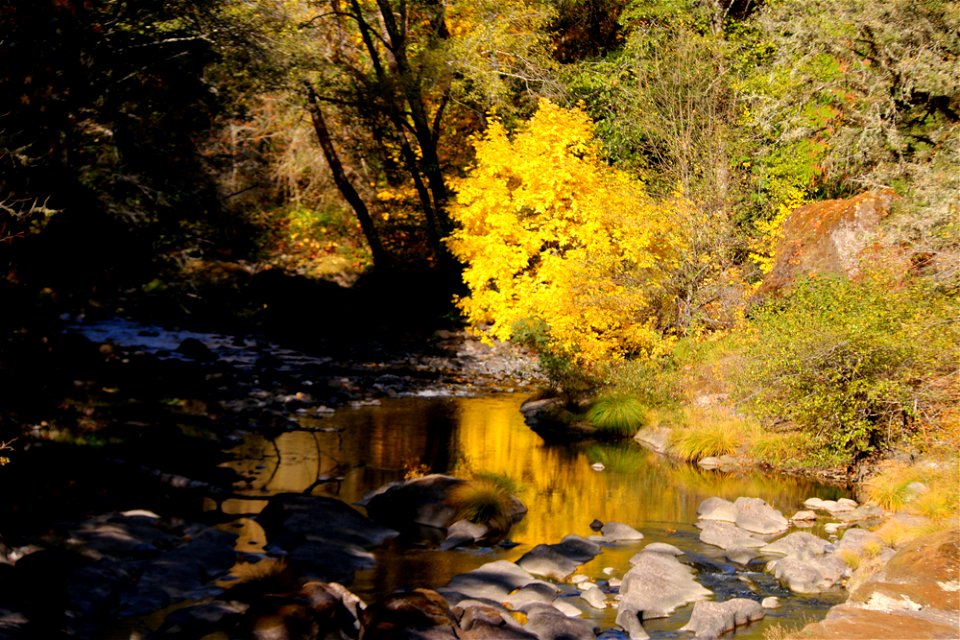 little-river-at-wolf-creek-g-10-24-18jpg_48800673273_o