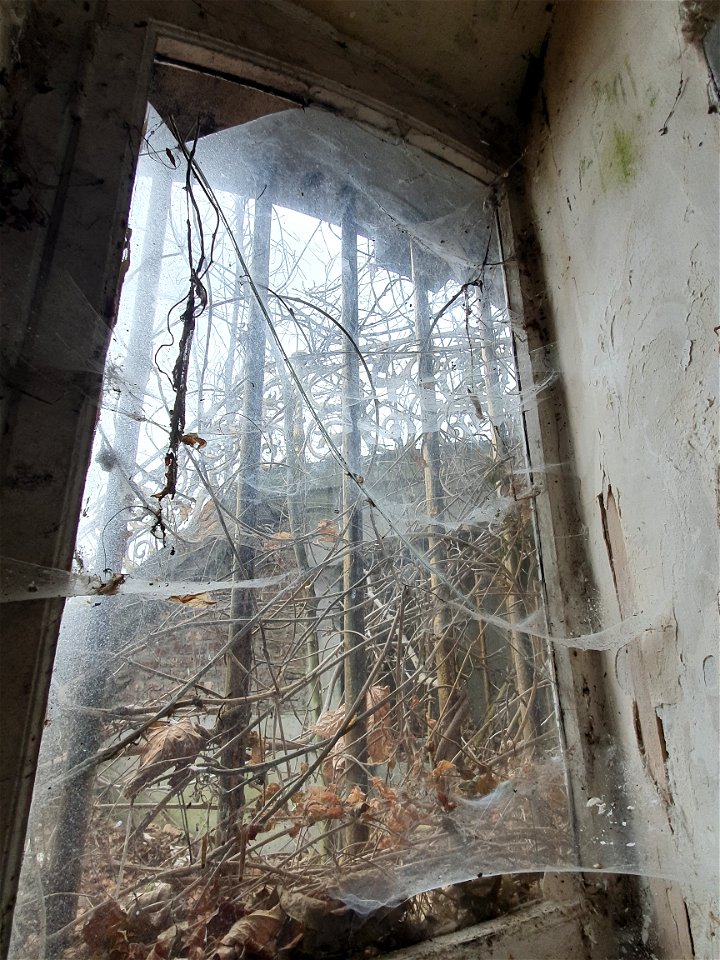 Maison Cinderella