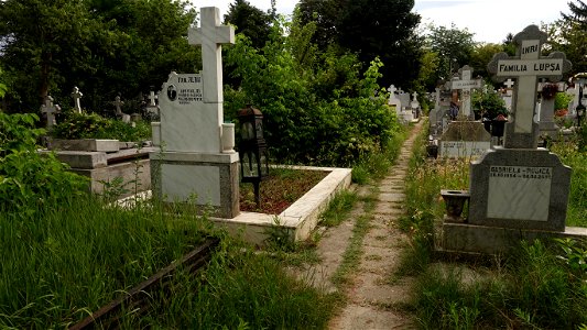 SfVineri_cemetery2021_0724_080814(2)