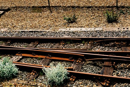 Volks Electric Railway pointwork