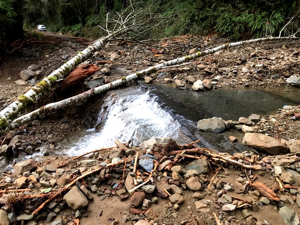 Flood Road Damage Forest Road 29, mile post 7.5