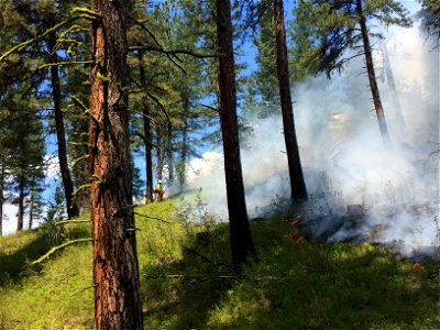 2021 BLM Fire Employee Photo Contest Category: Fuels Management and Prescribed Fire