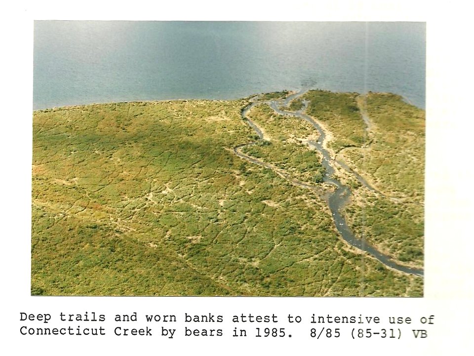 (1985) Connecticut Creek