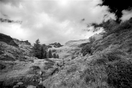 summer mountain walk
