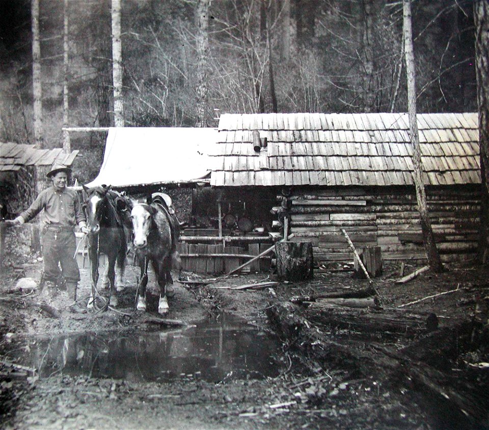 umpqua-nf---kuhns-1911-13jpg_49385790397_o