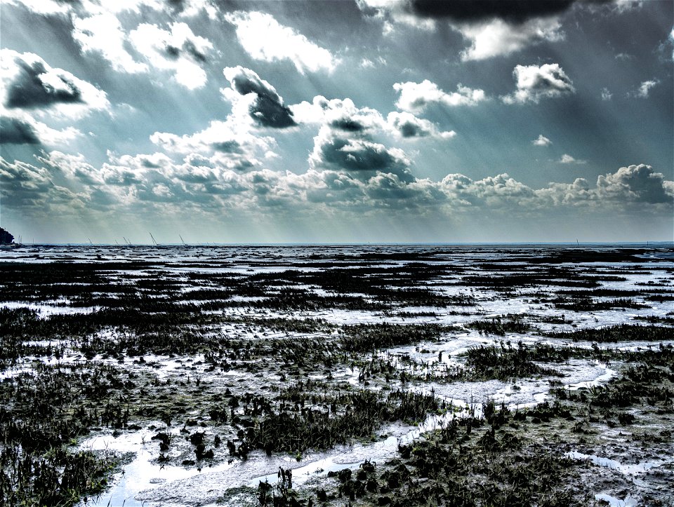 le bassin d'arcachon