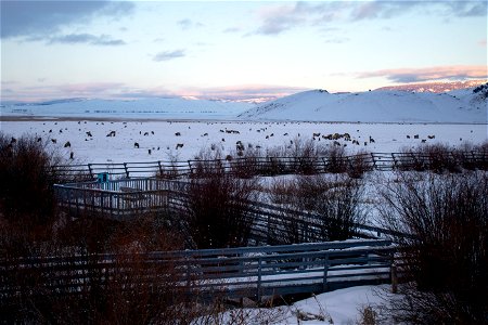 Bert's Bench on the National Elk Refuge