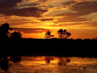Sunset on the marsh photo