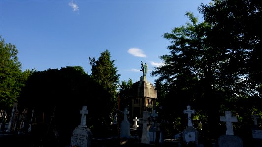 DSC08085