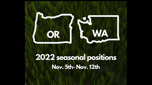 2021 Temporary Hiring Jobs announcement PSA in English