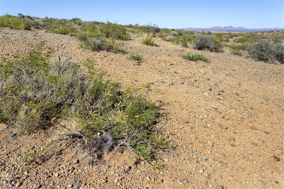 Little Hatchet Mountains