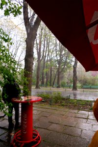 japanes_garden_rain_Herastrau (42)