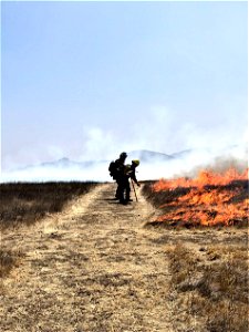 2021 BLM Fire Employee Photo Contest Category: Fuels Management and Prescribed Fire