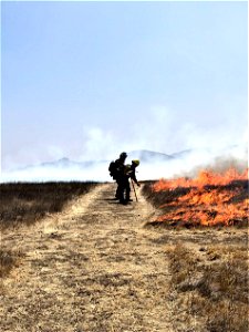 2021 BLM Fire Employee Photo Contest Category: Fuels Management and Prescribed Fire photo