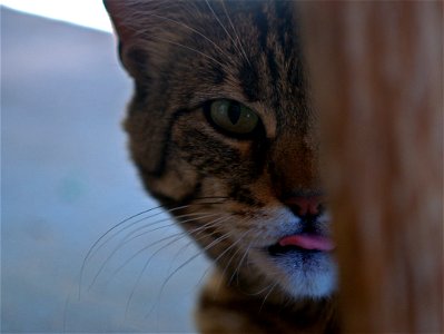 I see you
