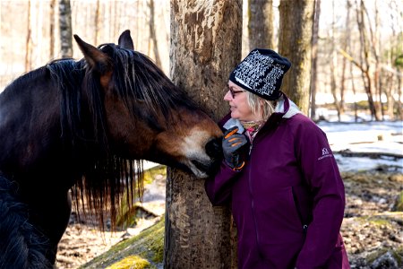 Cardehumma, Läyliäinen