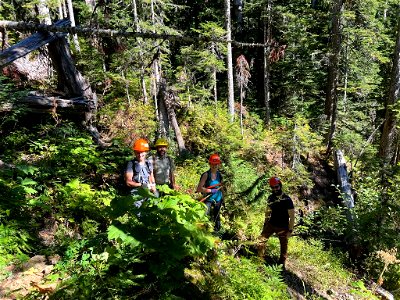 The trail brushing crew with the Mountaineers improving trail with volunteers at Church Creek Trail on the Olympic National Forest photo