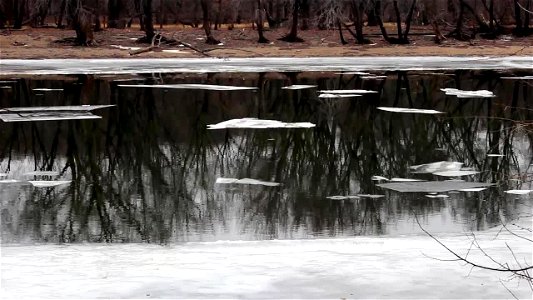 Sheets of Ice on the Mississippi River photo