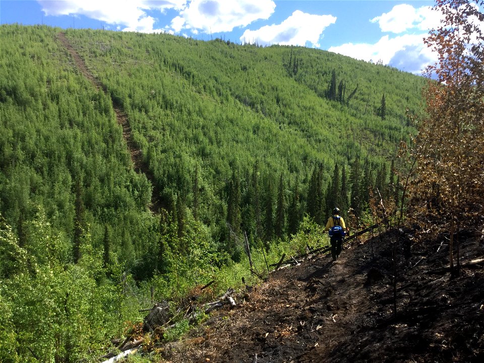 2021 USFWS Fire Employee Photo Contest Category: Interagency