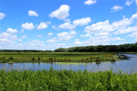 Sweet Marsh Wildlife Management Area, Iowa photo