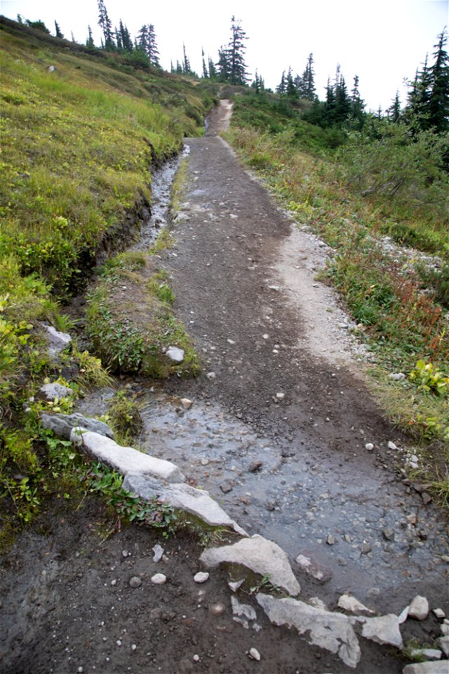 WTA-Chain of Lakes Tr-Heather Meadows-Mount Baker-27