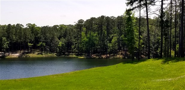 Gum Springs Lake - Kisatchie National Forest - 002 photo